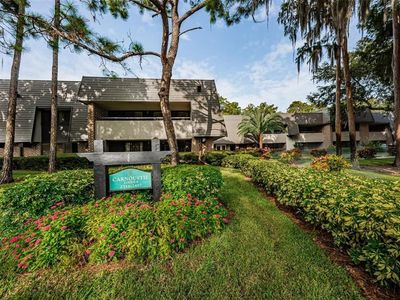 36750 Us Highway 19 N #3124