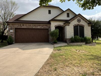 913 Water Hyacinth Loop