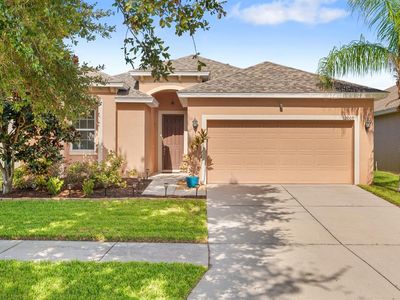 Property at 12009 RAMBLING STREAM, Riverview, FL
