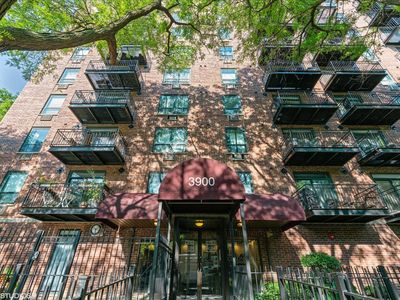 3900 N Pine Grove Ave APT 209