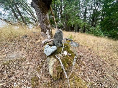 Property at 33375 State Highway 36, Bridgeville, CA