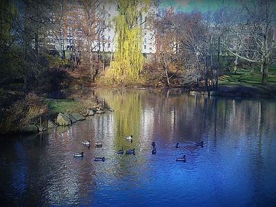 467 Central Park W APT 14B
