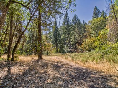 Property at 208 Hogue Dr, Selma, OR