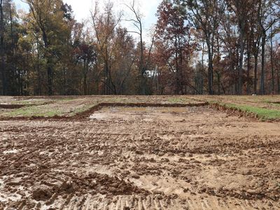 3163 Mission Olive Pl