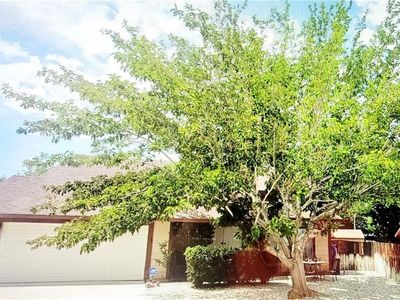 15016 Whitekirk Dr
