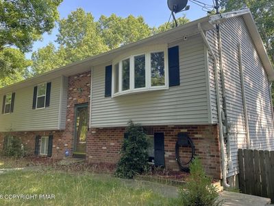 356 Carnation Rd
