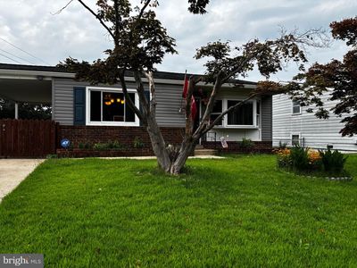 811 Lynvue Rd