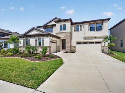 12962 STEED TRACE LOOP