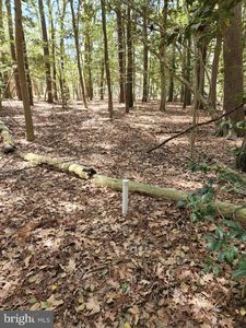 Property at 0 New Rd, McDaniel, MD