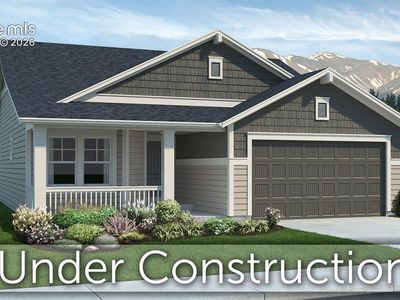 17553 Brass Buckle Way