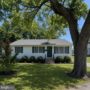 302 Belt St