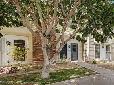1601 N SABA Street #239