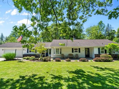 50 Maple Dr