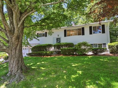 379 Singletary Ln