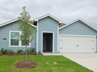 243 Desert Willow Way