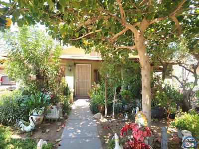 509 Palo Verde Ave