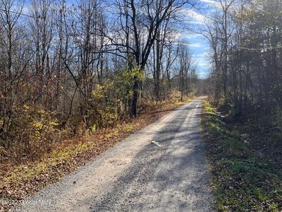 Property at L4 W Woodstock Road, Berne, NY