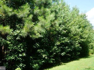 Property at Jericho Rd, Ruther Glen, VA