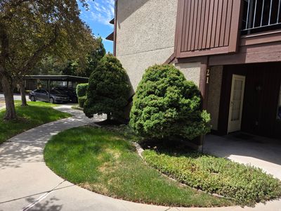 325 E 2550 N APT 21