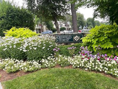 13 Walden Dr APT 5