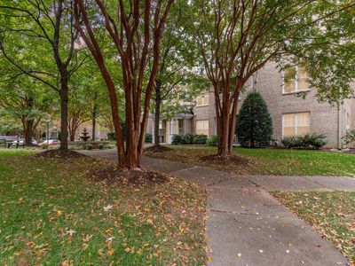 3121 Hemlock Forest Cir APT 203