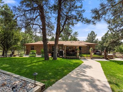 36725 Forest Trail