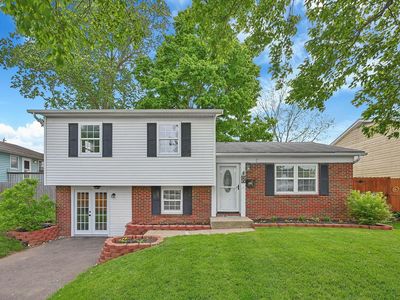 56 Annette Ave