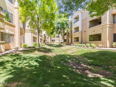 18416 N CAVE CREEK Road #3002