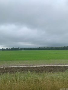 Property at (Undisclosed Address), Delaplaine, AR
