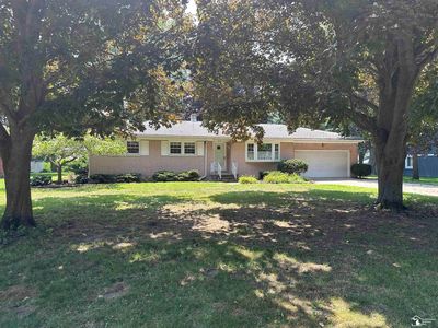 53 Calvin St