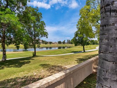 29413 Painted Desert Dr