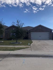 303 Soap Tree Dr