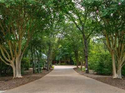 1107 Faraway Island Dr