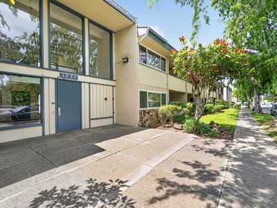 1731 Ellis St APT 31