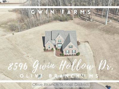 8596 Gwin Hollow Dr
