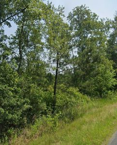 Property at 0 Wesley Chapel Ave, Cottageville, SC