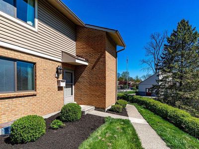 11 Arbor Ct