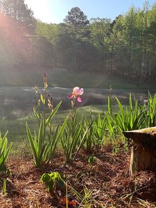 149 County Road 107