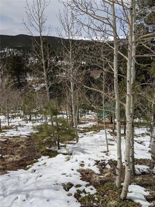 Property at 63 N Road P-72, Bailey, CO