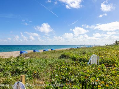 2778 S Ocean Blvd APT 203S