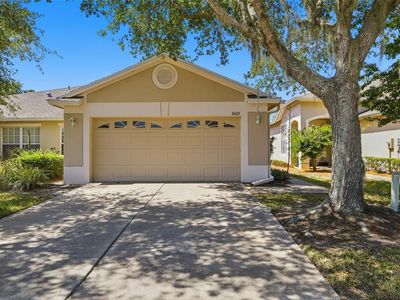 31421 Shaker Cir