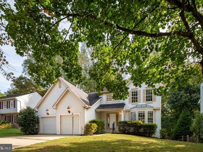 6111 Dry Leaf Path