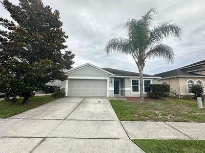 10816 Cabbage Tree Loop