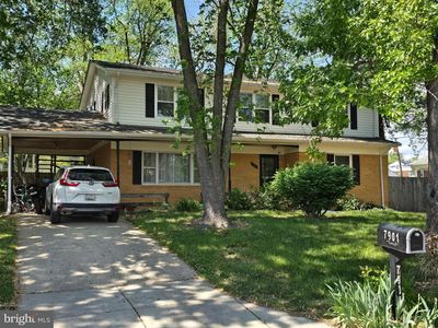 7901 Anne Ct