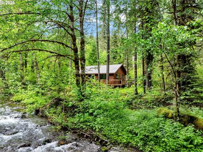 47 Govt Mineral Spgs