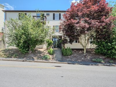 229 Vernon St APT 3