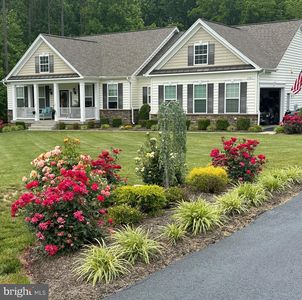 11417 Orchid Ln