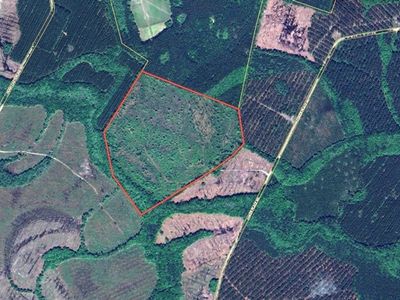 Property at 2800 Youngs Island Rd NW, Townsend, GA