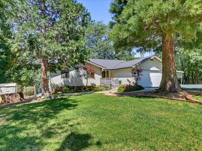 14370 Rollins Park Dr