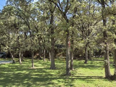 2320 Los Robles Dr